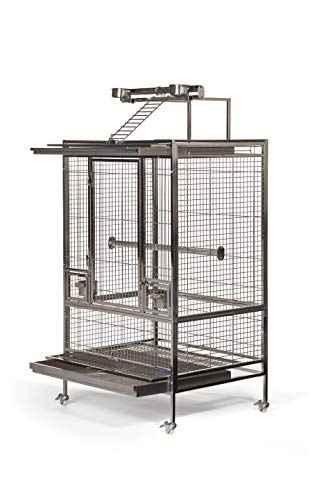Prevue Pet Products Wrought Iron Flight Cage with Stand F040 Black Bird  Cage, 31-Inch by 20-1/2-Inch by 53-Inch