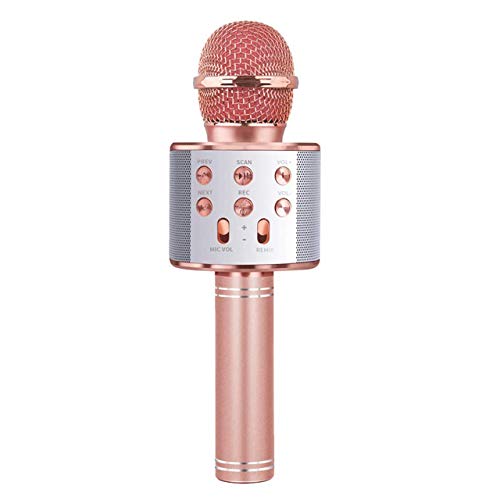 BlueFire 4 in 1 Karaoke Wireless Microphone with LED Lights, Portable  Microphone for Kids, Great Gifts Toys for Kids, Girls, Boys and Adults  (Black)