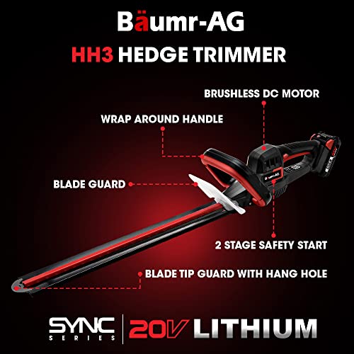 BAUMR-AG 20V Cordless Line Trimmer Electric Whipper Snipper & Leaf