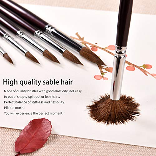 Watercolor Paint Brushes, Mop Round Squirrel Hair Paint Brush Set for Art  Painting, Gouache, Fine Detailing, Acrylic, Oil, Artist Quality
