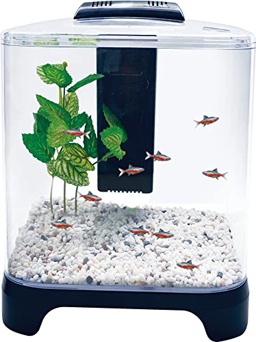 Penn Plax Betta Fish Tank Aquarium Kit with LED Light & Internal Filter  Desktop Size, 1.5 Gallon
