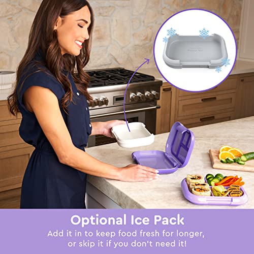 Leak-Proof Bento Box with Removable Ice Pack & 4 Compartments for On-The-Go  Meals - Microwave & Dishwasher Safe, Patented Design, 2-Year Warranty  (Purple)