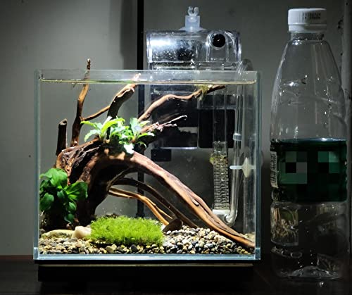 AWXZOM Small Nano Tall Rimless Tank, Small Glass Fish Tank, Small Betta  Fish Tank, Small Aquarium, min Fish Bowl, Betta Tank (1.1 Gallon 7.8 x 5.5  x 5.9inch) Clear