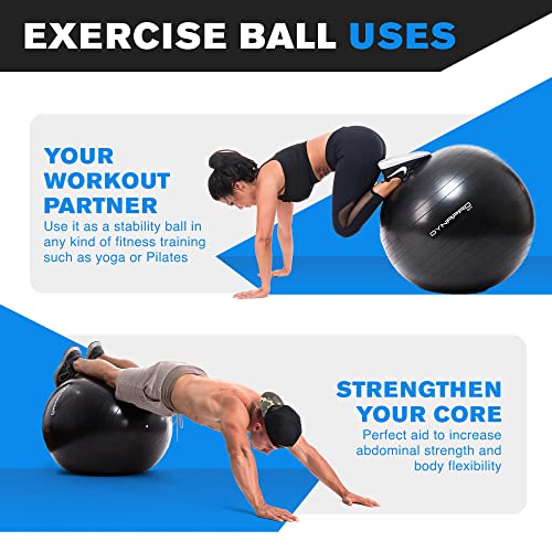 Dynapro exercise ball on sale