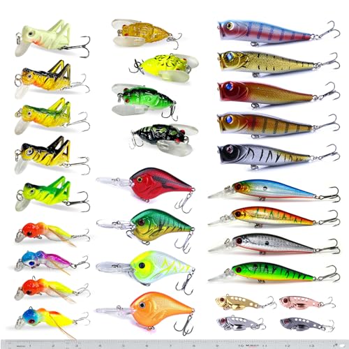 XBLACK Hard Fishing Lure Set 43pcs Assorted Bass Soft Fishing Lure Kit  Colourful Minnow Popper Crank Rattlin VIB Jointed Fishing Lure Set Hard  Crankbait Tackle Pack for Saltwater or Freshwater