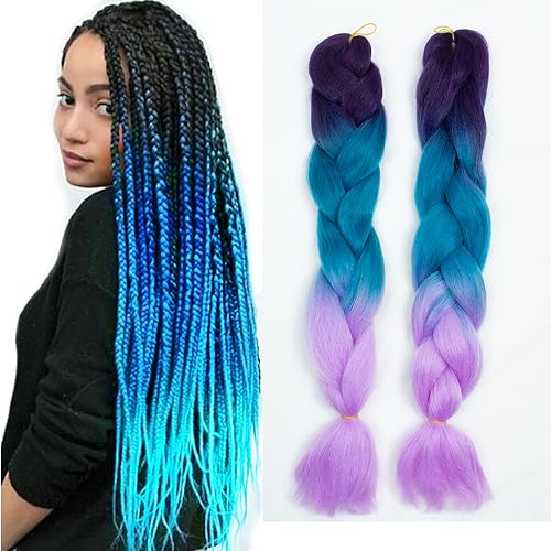 Ombre Braiding Hair Extensions for Women Jumbo Synthetic Braiding Hair for  Twist Crochet Braids 2 Packs 100g/Pack 24Inch Braiding Hair Extensions for  Box Braids purple lake blue light purple