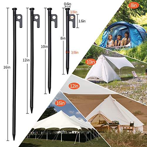 Heavy Duty Tent Stake 12 inch 4 Pack with Camp Rope Guy Lines, Yard Stakes for Canopy, Camping Stakes for Ground, Tent Pegs Thickened Reinforced