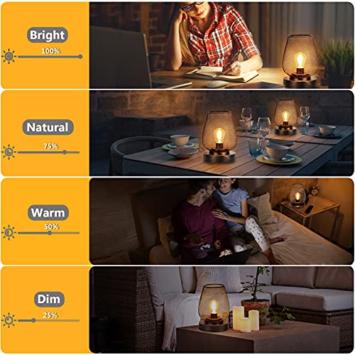 HEQET Cordless Table Lamps Rechargeable Lamps for Home, USB Charge Gold  12'' Tall LED Brass Portable Outdoor Indoor Table Lamp with Touch Sensor,  Adjustable Brightness and Color(Gold) 