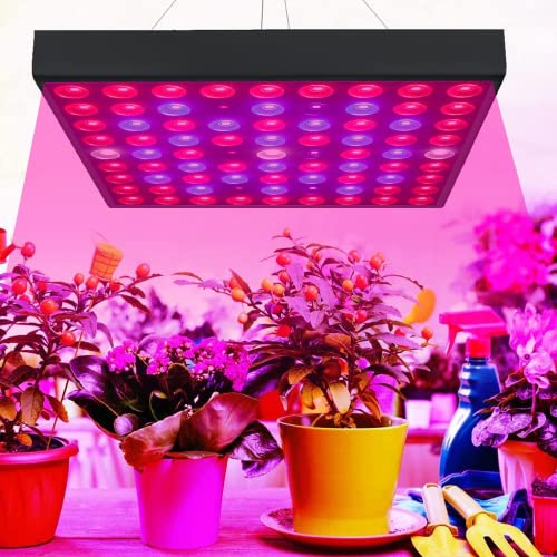 Blue led grow light store for seedlings