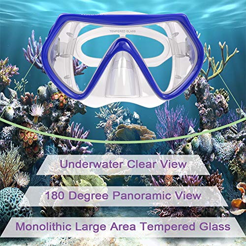 WACOOL Snorkeling Package Set for Adults, Anti-Fog Coated Glass Diving  Mask, Snorkel with Silicon Mouth Piece,Purge Valve and Anti-Splash Guard