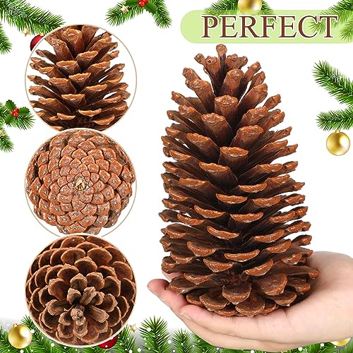  Jangostor 120 PCS Pine Cones Decorations, Natural Pine