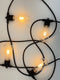 CHOICE OF GLOBES -Buy 20M - 40M - 60M - Commercial Grade Festoon Lights online
