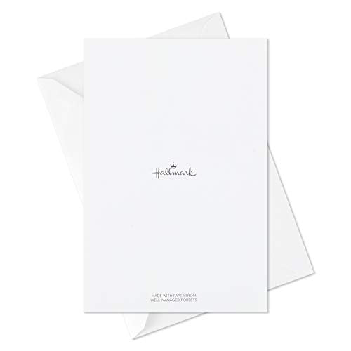 Hallmark Boxed Christmas Cards Assortment, Merry and Bright (6 Designs, 24 Cards with Envelopes)