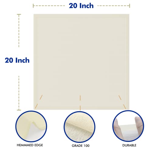 10 PCS Reusable Cheesecloth, Grade 100, 20x20 Inch Hemmed Organic Cheese Cloth for Straining Craft, 100% Cotton Unbleached Cloth Strainer for Cooking, Baking, Juicing, Cheese Making, CC-WT-10PK