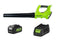 Greenworks 24 V Blower Kit with 4Ah Battery and Fast Charger