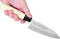 JapanBargain 1548 Sushi Knife, Steel