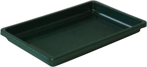 HomeLeisure Window Box Tray, Green, 270 mm Size