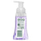 Palmolive Nourishing Vanilla and Wild Berries Foaming Handwash, 250 ml