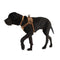 Carhartt P000034120103 Training Harness | Brown | 22"- 29" Chest | Medium
