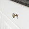 Amazon Basics Round Cabinet Knob, 1.18-inch Diameter, Antique Brass, 10-pack