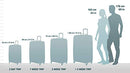 Samsonite Winfield 2 Fashion 3 Piece Spinner Luggage Set (Brushed Anthracite), Brushed Anthracite, One Size, Brushed Anthracite, One Size
