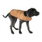 Carhartt Firm Duck Insulated Dog Chore Coat Brown/Brassy, P000034020103