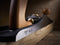 Stanley 1-12-137 62-Low Angle Sweetheart Jack Plane