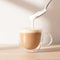 Youngever 2 Pack 250ML Glass Coffee Cups, Espresso Cups, Double Wall Thermo Insulated Coffee Cups, Glass Coffee Mugs