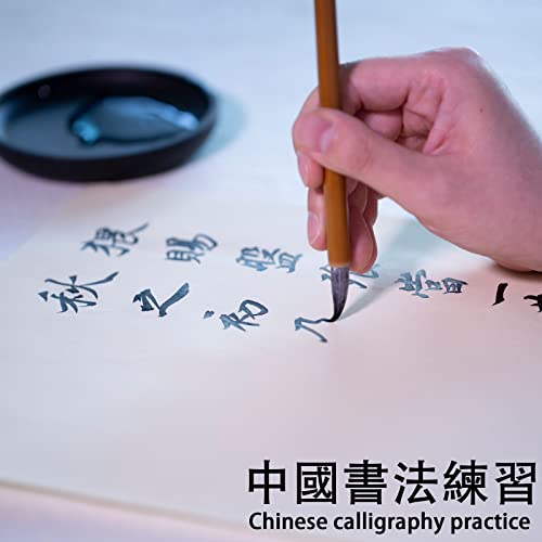 Chinese Blank Xuan Paper Raw, Calligraphy Brush Ink Writing Sumi Rice Paper Without Grids, White Sheng Xuan Paper for Beginner & Intermediate Practice Painting Techniques (30 Sheets)