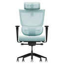ErgoTune Supreme Ergonomic Office Chair - Adjustable Backrest Desk Chair, Lumbar Support, Headrest, 5D Armrests - High Back Breathable Durable Mesh Recline (Aqua Blue)