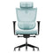 ErgoTune Supreme Ergonomic Office Chair - Adjustable Backrest Desk Chair, Lumbar Support, Headrest, 5D Armrests - High Back Breathable Durable Mesh Recline (Aqua Blue)