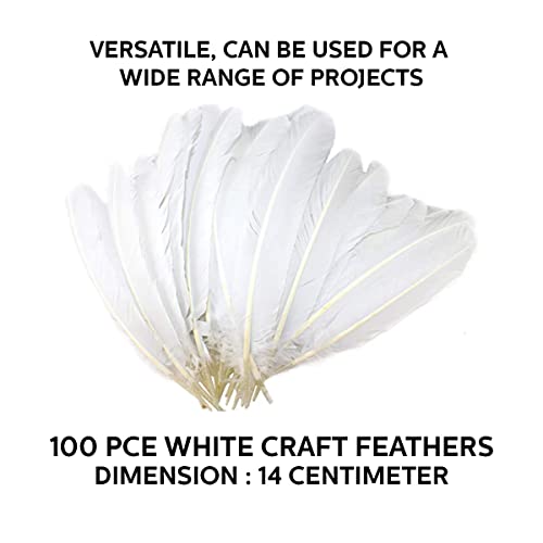 [2Pk X 50Pce] Krafters Korner Craft Feathers, Versatile, Can Be Used For A Wide Range Of Projects, Perfect For Scrapbooking, Floral Arrangements, Costume Design And So Much More, Recommended For Ages 3+ Years - White (14Cm)