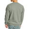 Hanes Men's EcoSmart Fleece Sweatshirt, Stonewashed Green, Large