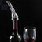 Wine Aerator Pourer - with Wine Vacuum Stopper Classic Diffuser Spout for Wine Bottle Instant Wine Aerators with No Spill (L)