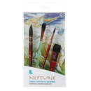 Princeton Neptune Synthetic Bristles Professional Paint Brush Box (Set of 4)