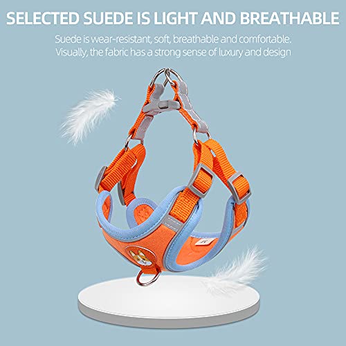 New Reflective Dog Harness for Small Dogs,Soft Suede Puppy Harness and Leash Set,Escape Proof Small Dog and Cat Harness,Step-in Dog Vest Harness for Extra Small,Medium Dogs,Breathable Dog Rope