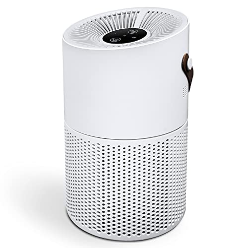 air purifier,Mini H13 HEPA air purifiers for the home Allergies Pets Hair in bedroom Office Living Room,Portable,Night Light,Reduce Germs,Australian standard power socket (air purifier)