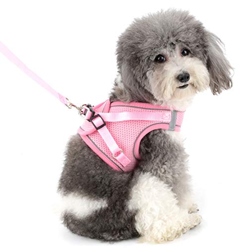 ZUNEA Small Dog Harness and Lead Set No Pull Puppy Vest Harnesses Adjustable Reflective Soft Mesh Step-in Pet Cat Harness Escape Proof for Walking, Bright Colors for Dogs Girl Boy Pink XS