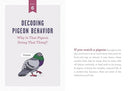 A Pocket Guide to Pigeon Watching: Getting to Know the World's Most Misunderstood Bird