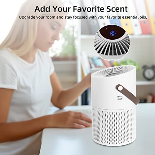 air purifier,Mini H13 HEPA air purifiers for the home Allergies Pets Hair in bedroom Office Living Room,Portable,Night Light,Reduce Germs,Australian standard power socket (air purifier)