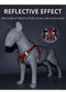 New Reflective Dog Harness for Small Dogs,Soft Suede Puppy Harness and Leash Set,Escape Proof Small Dog and Cat Harness,Step-in Dog Vest Harness for Extra Small,Medium Dogs,Breathable Dog Rope