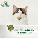 Greenies Feline Dental Catnip Flavor Cat Treats, 60 g