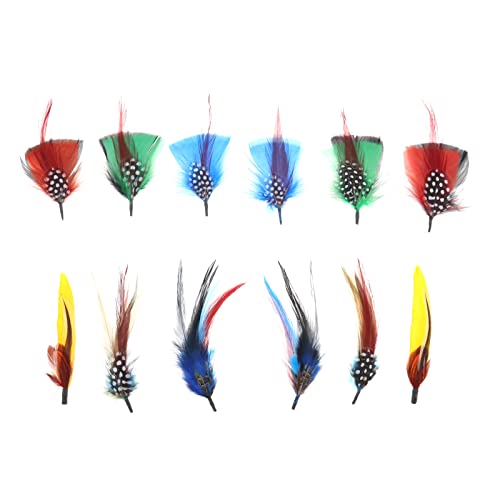 ECSiNG 12Pcs Hat Feathers Real Feather Decorative Feather Natural Feather DIY Accessories for DIY Making Crafts Clothing Decoration