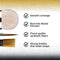 Wargames Delivered Miniature Paint Brushes-Army Painter Brushes-15 Paint Brushes for Miniature Painting-Effect, Fine Tip Detail & Dry Brushes Model Paint Brush - Acrylic Brush Set for Model Painting