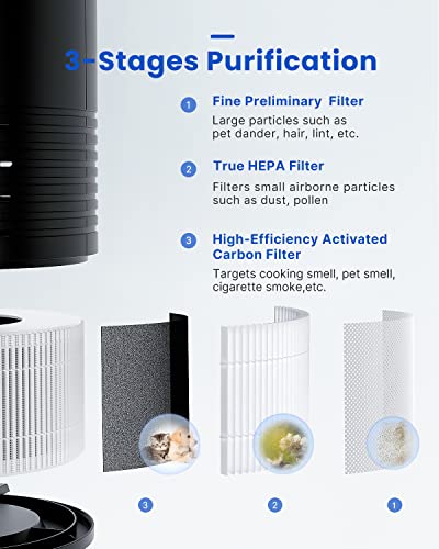 RENPHO Air Purifier for Home Bedroom, True HEPA & Activated Carbon Filter, 22dB Quiet Sleep Compact Air Cleaner, 4 Speeds, Night Light, Filter Change Reminder, Removes Dust Pollen Pet Hair Allergies