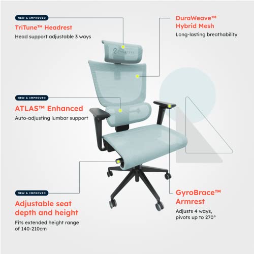 ErgoTune Supreme Ergonomic Office Chair - Adjustable Backrest Desk Chair, Lumbar Support, Headrest, 5D Armrests - High Back Breathable Durable Mesh Recline (Aqua Blue)