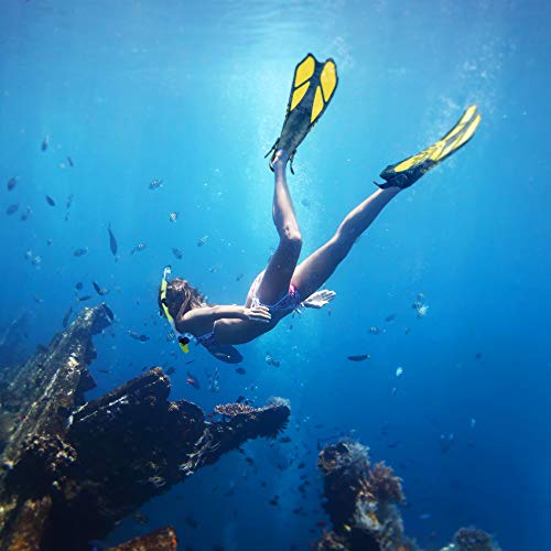 ZEEPORTE Mask Fin Snorkel Set with Adult Snorkeling Gear, Panoramic View Diving Mask, Trek Fin, Dry Top Snorkel +Travel Bags, Snorkel for Lap Swimming