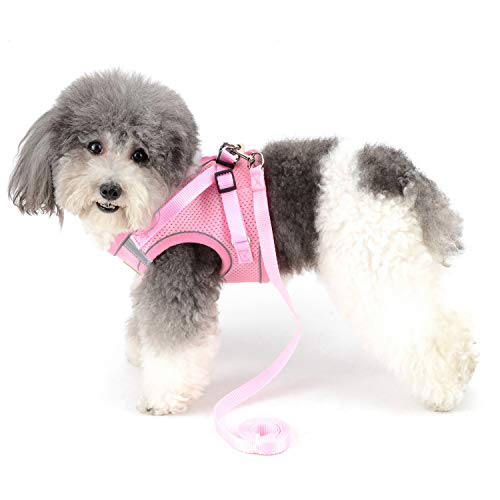 ZUNEA Small Dog Harness and Lead Set No Pull Puppy Vest Harnesses Adjustable Reflective Soft Mesh Step-in Pet Cat Harness Escape Proof for Walking, Bright Colors for Dogs Girl Boy Pink XS