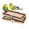 Corner Seat Boards 10 x 20 cm with Natural Wooden Border for Birds such as Cockatiels Budgies Canaries etc. Best Cage Accessories Bird Seat Board Seat Board Including Fixings Material Set of 2