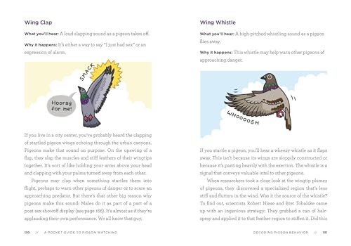 A Pocket Guide to Pigeon Watching: Getting to Know the World's Most Misunderstood Bird